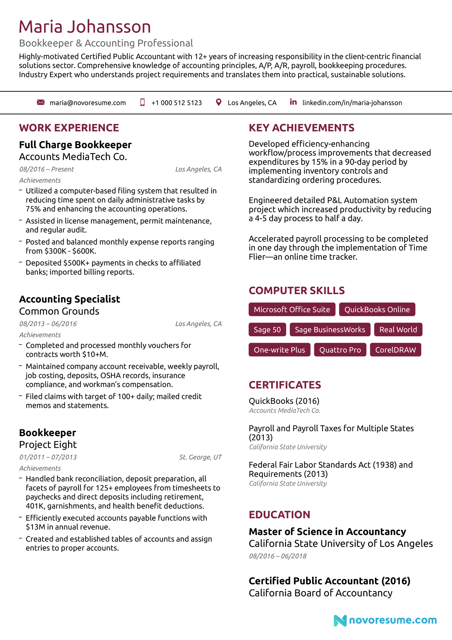 basic CV template PDF