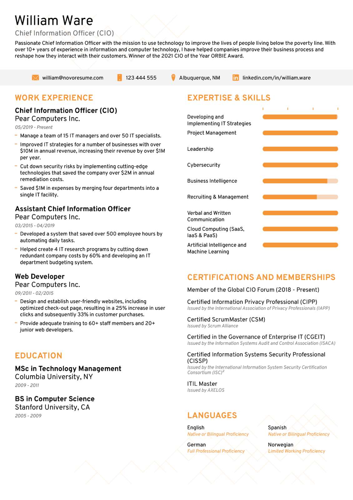 Executive ATS Resume Template