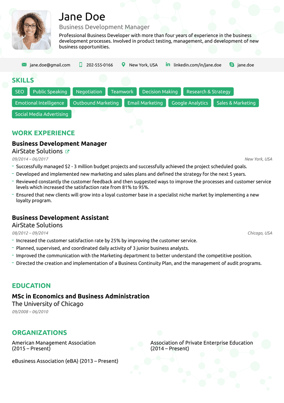 executive cv template