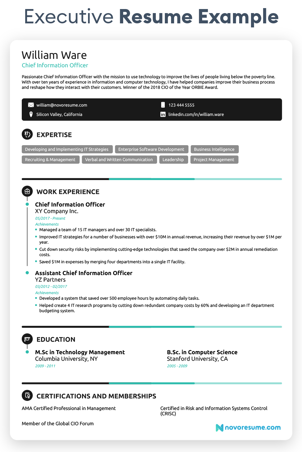 executive resume example