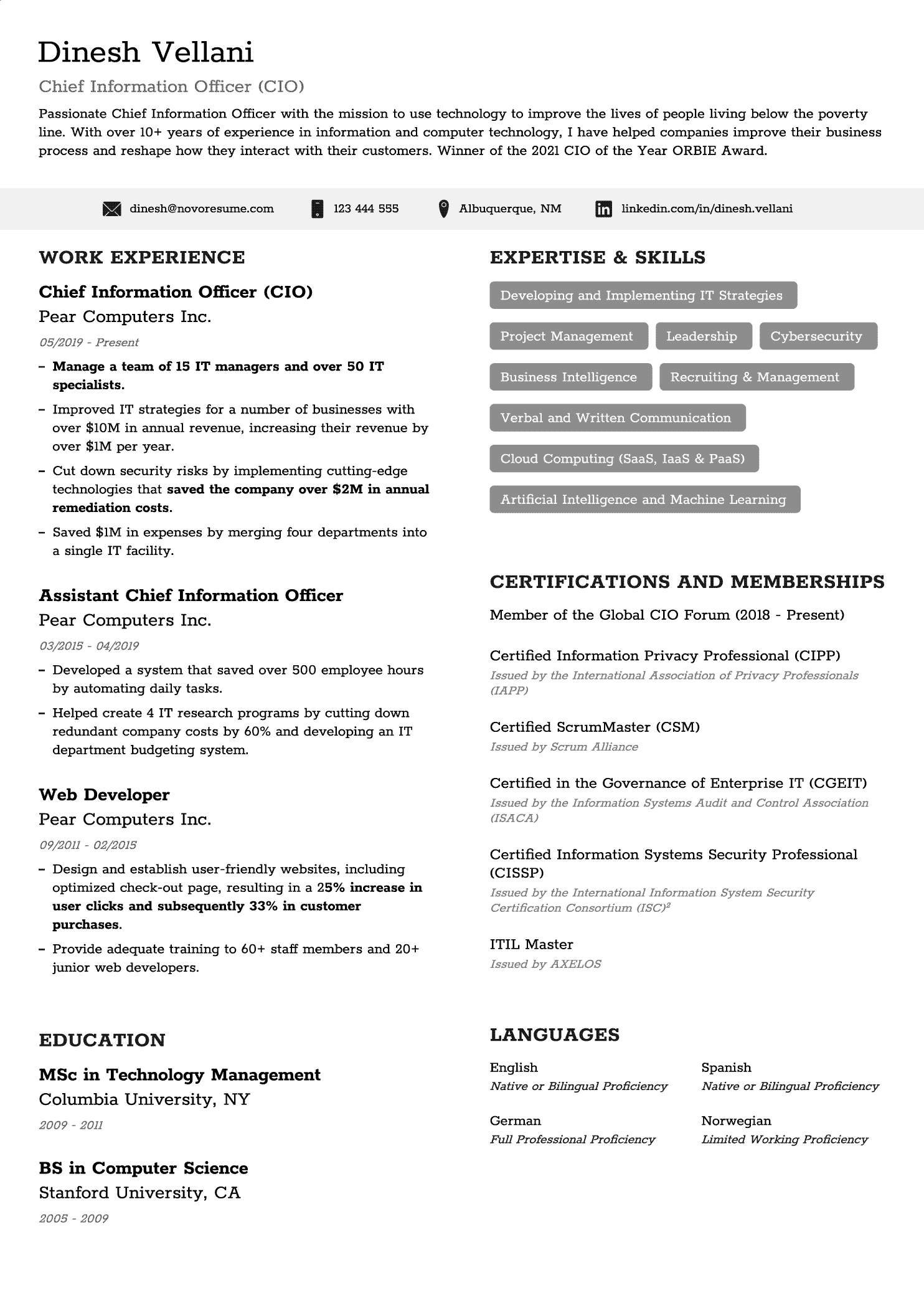 executive simple resume template