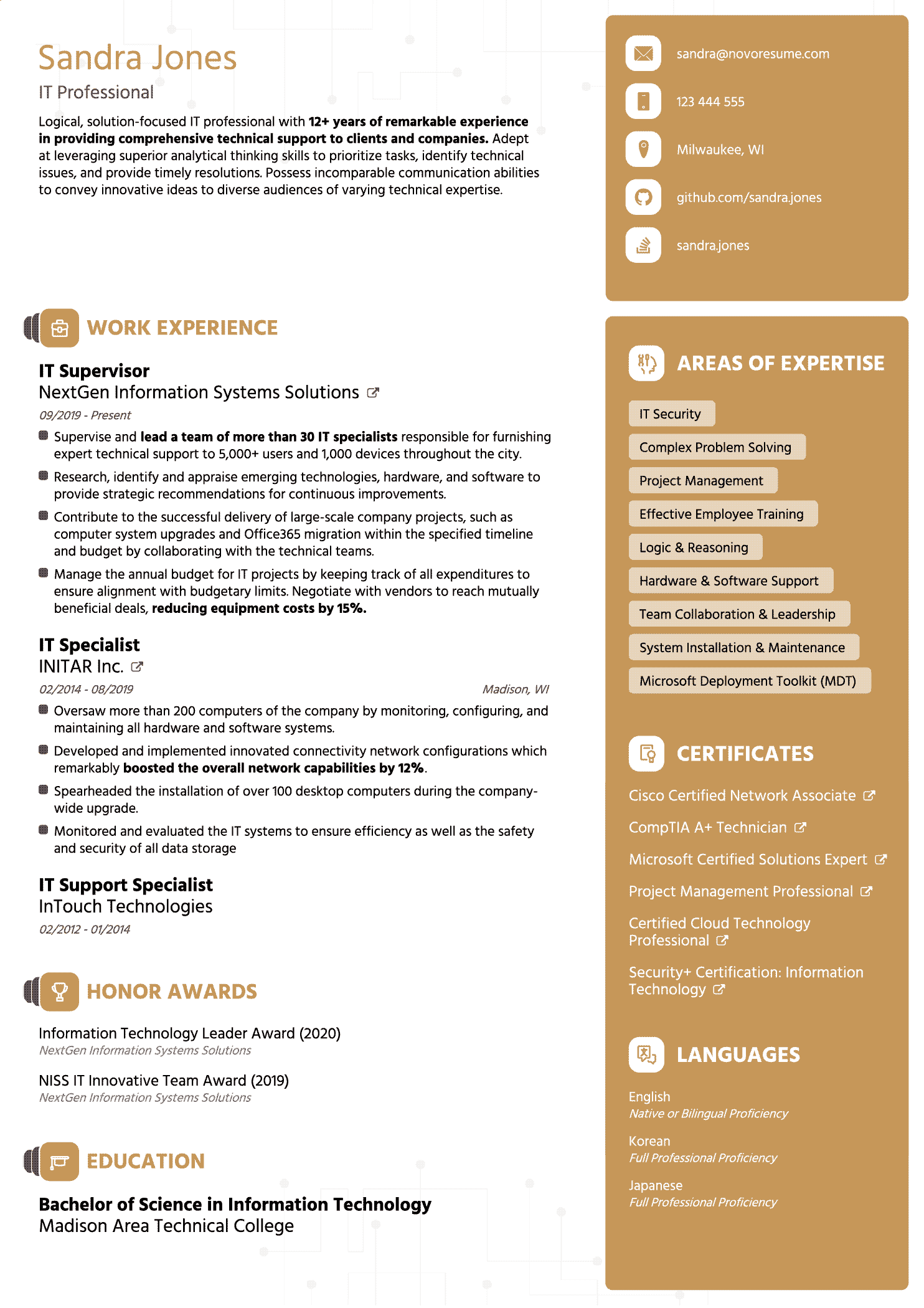 IT Resume Template