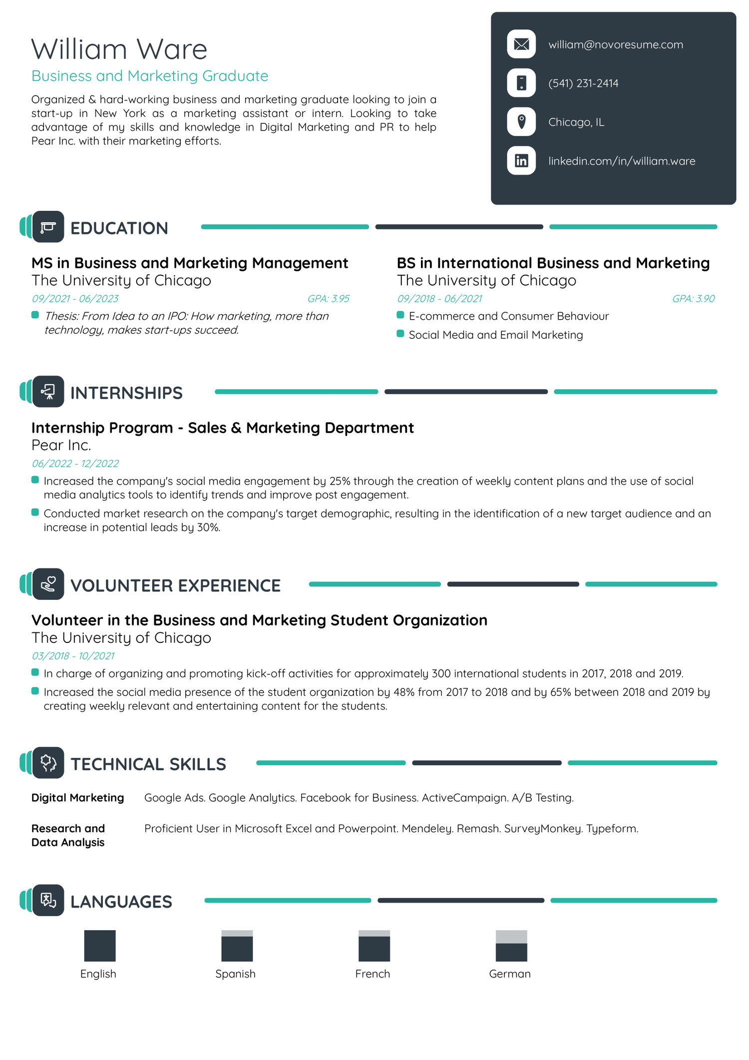 IT Student Resume Template