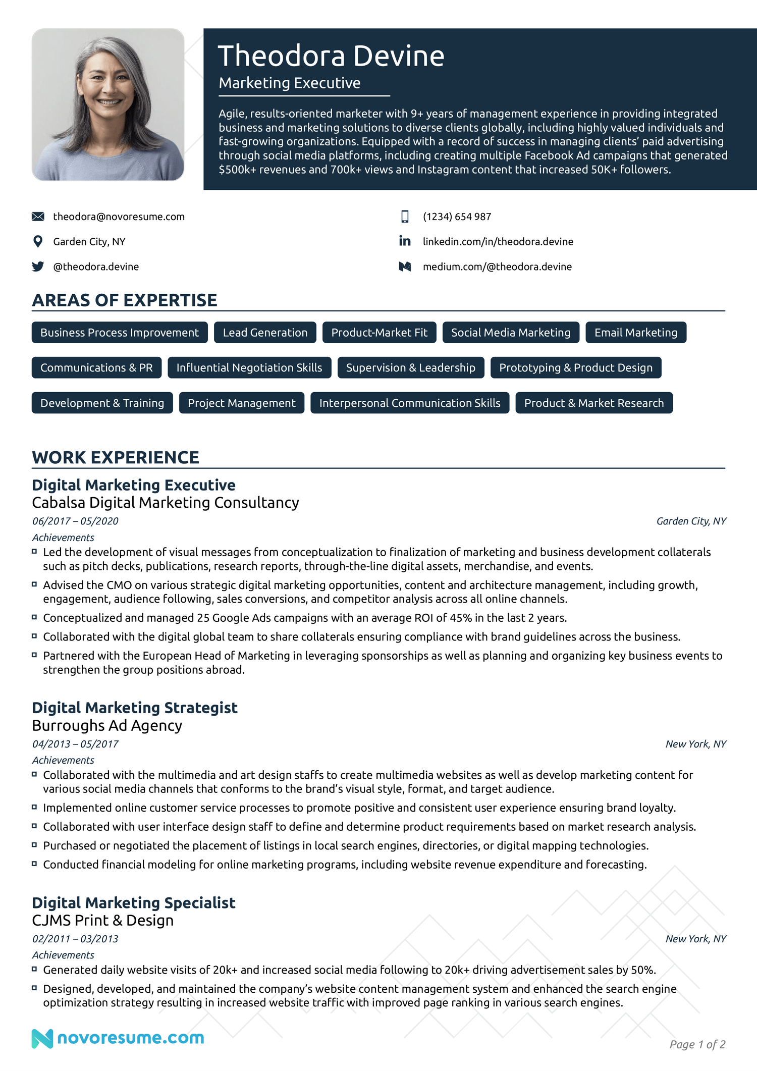 Marketing Executive Resume Example