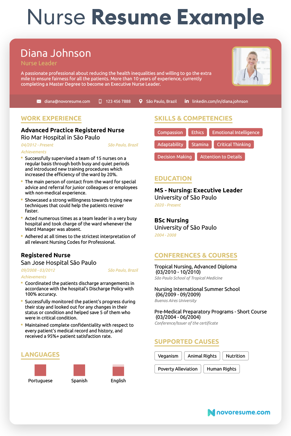 nurse resume example