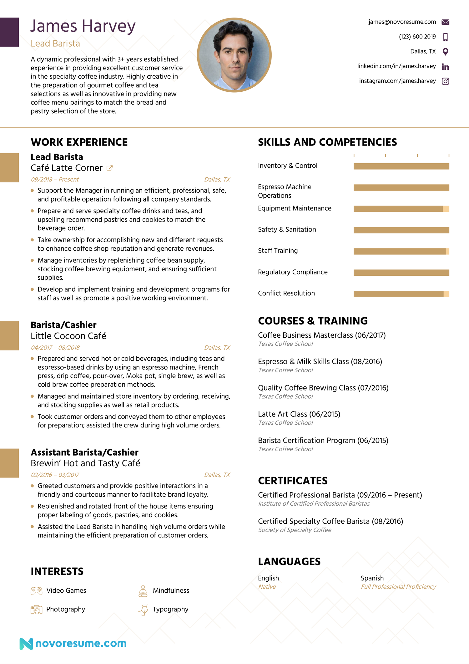 professional CV template PDF