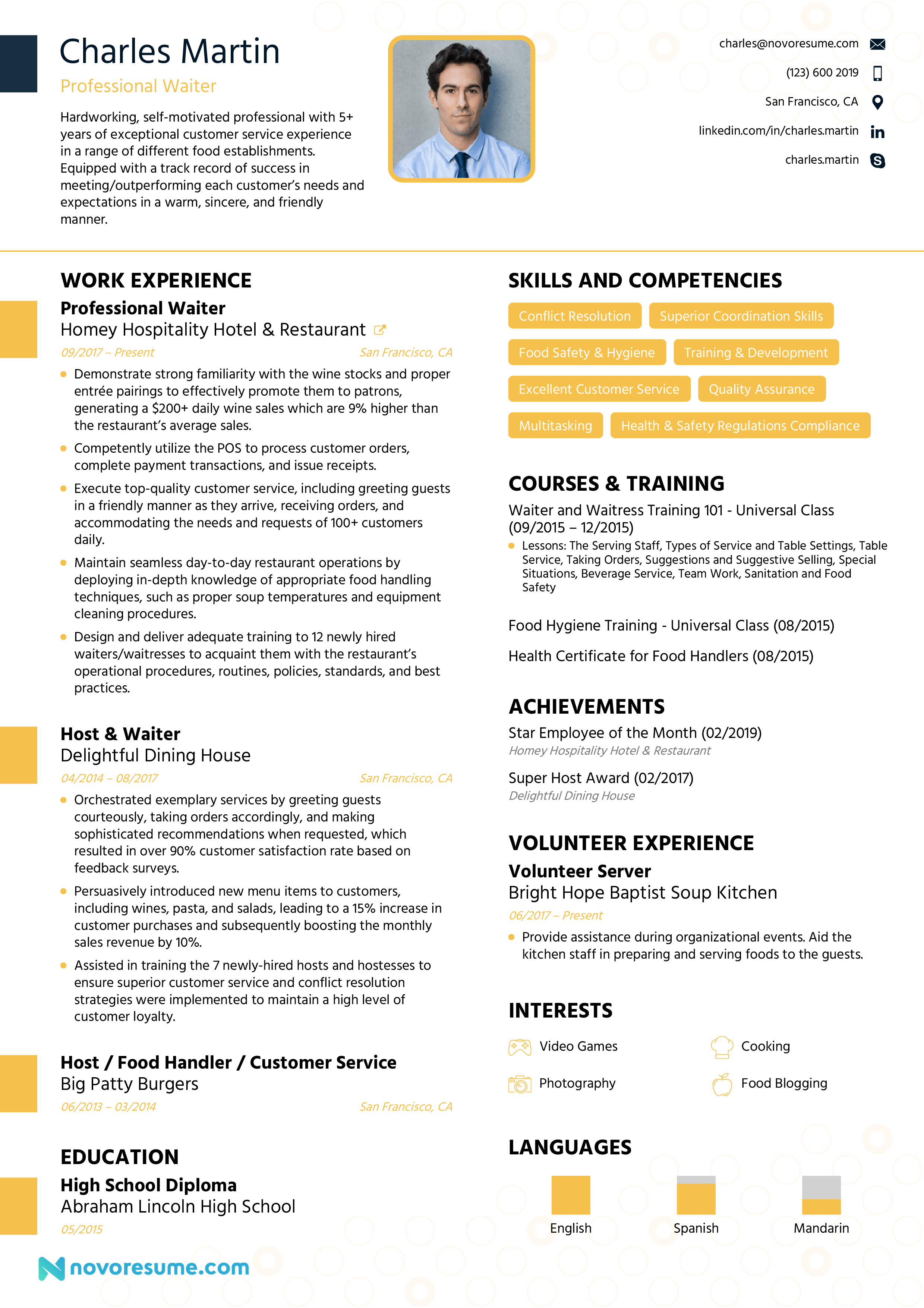 professional resume example