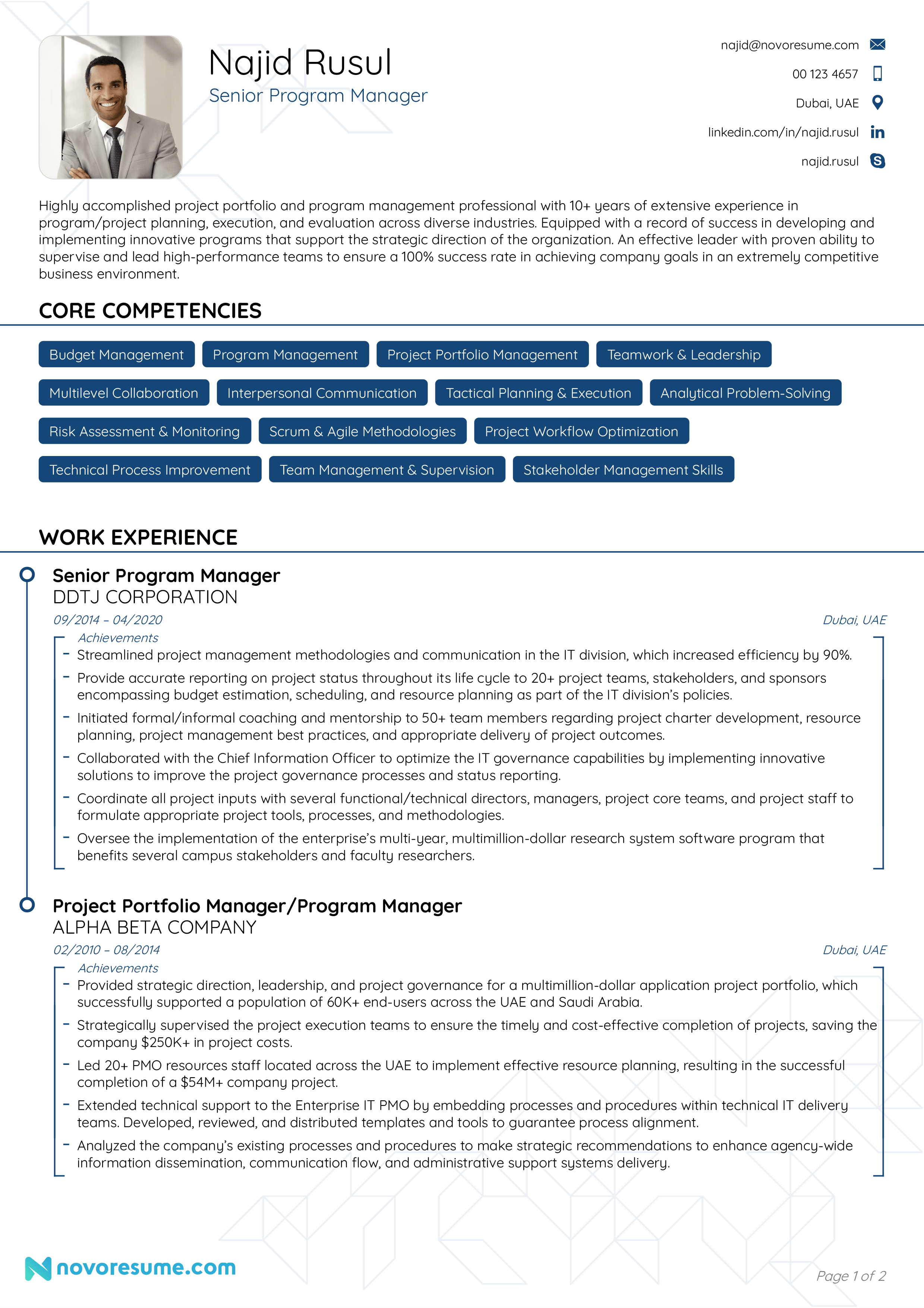 program manager resume