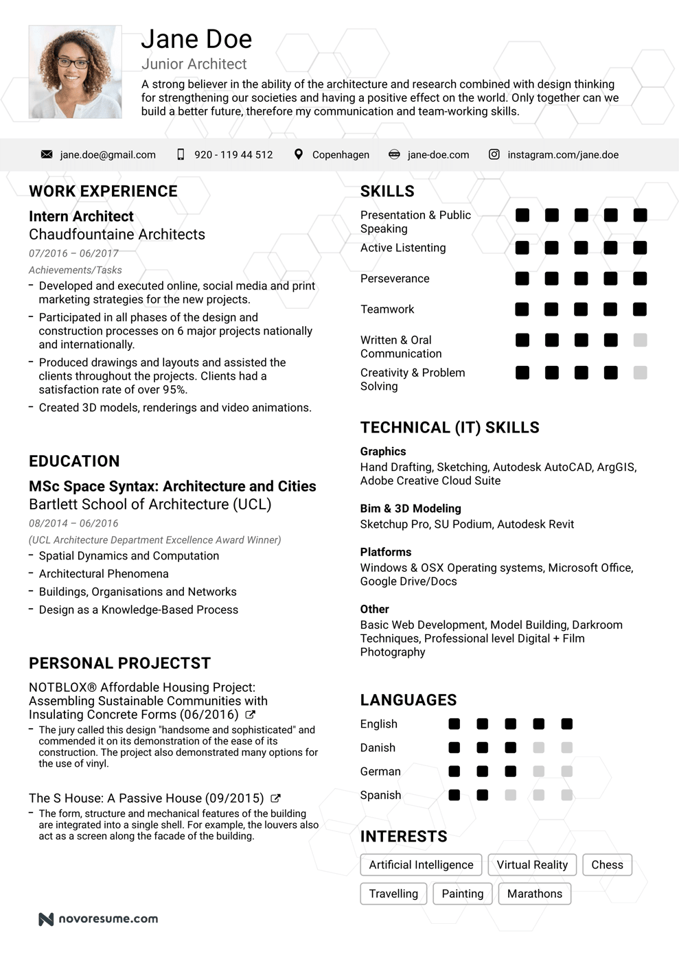 resume ideas example