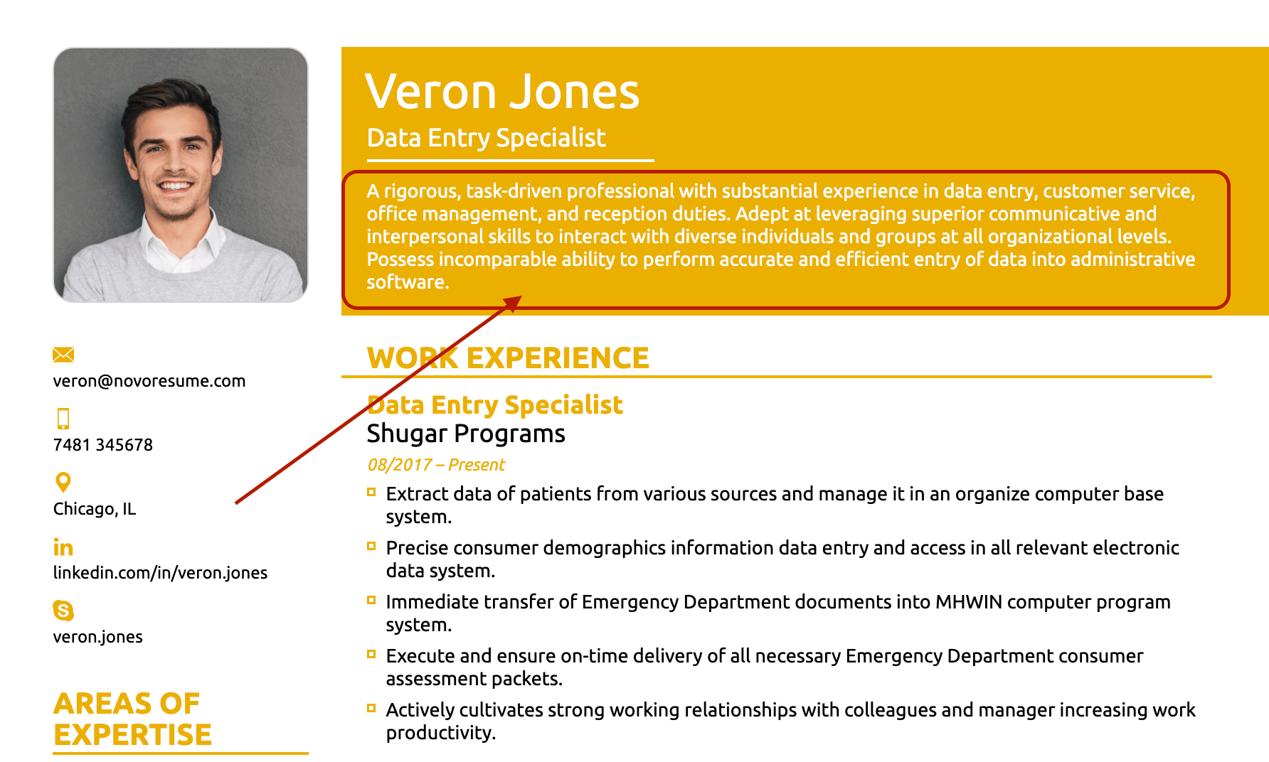 resume summary for data entry resume